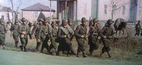 alpini in marcia